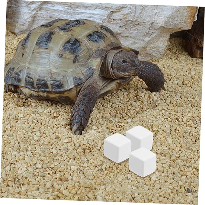 ORFOFE 12pcs Reptile Natural for Reptile Habitat Teeth Maintenance and Chewing Prevention for Various Pets Like Lizards and Crabs