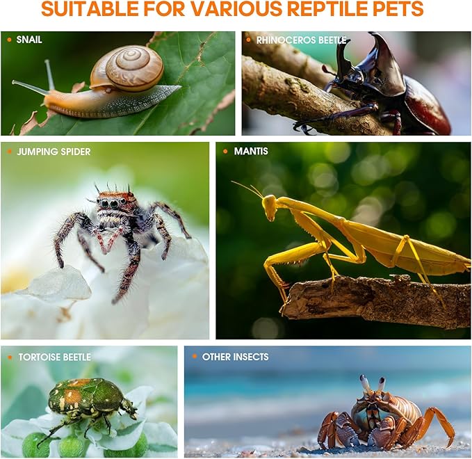 Jumping Spider Enclosure, Insect Terrarium, Bug Cage, Acrylic Terrarium for Tarantula, Snail, Praying Mantis, Frog, and Small Reptiles (4.7" x 4.3" x 7.8")