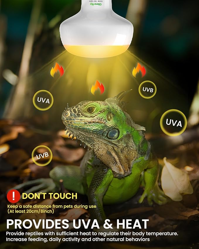 GlowUp UVA UVB Light Bulbs for Reptiles E26 Combo Pack 110V - 100W Reptile Heat Lamp Bulb + 26W 10.0 UVB Bulb Provide Heat, Light, D3 and UV for Bearded Dragon, Tortoise, Lizard