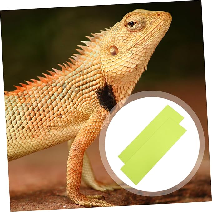 BESPORTBLE 2pcs Reptile Carpet Bedding Liner Non-tearable Mat for Tanks Easy to Clean Material for Lizard Snake Habitat