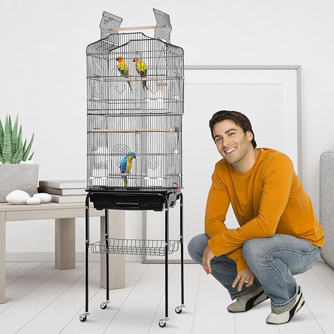 64 inch Bird Cage, Wrought Iron Parakeet Cage Bird Cages for Cockatiels, Medium Small Parrots, Conures, Lovebirds, Budgies, Finches, Detachable Rolling Stand & Play Open Top & Storage Shelf, Black