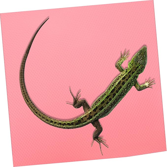 Yardwe Bearded Dragon Tank Background Reptile Carpet Bedding Snake Cage Liner Non-Slip Eva Mat