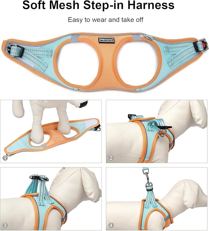 Mercano Soft Mesh Dog Harness and Leash Set, No-Chock Step-in Reflective Breathable Lightweight Easy Walk Vest Harnesses with Safety Buckle for Small Dogs, Cats (XS, Orange Blue)