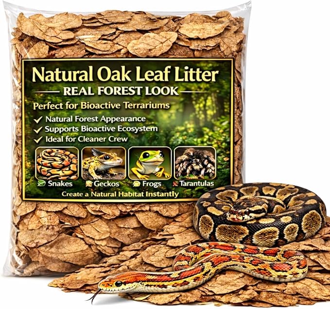 MAQIHAN Dry Oak Leaf Litter for Reptiles – 5 oz Whole Natural Oak Leaves Substrate for Isopods & Bioactive Terrarium Forest Floor Habitat, Premium Enclosure Bedding