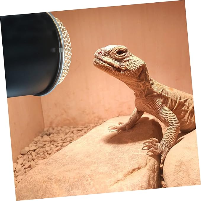 Totority Reptile Heating Lamp Shade 5.5 Inch Sturdy Scald Mesh Cover for Reptile Box Heat Lamp Guard Compatible Fixtures