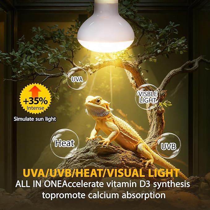 Reptile Heat Lamp, heat lamp bulbs , basking bulb 100w , basking light for bearded dragon, UVA UVB reptile light bulb for Bearded Dragon, Turtles, Tortoise, Lizard, Snake, Chameleon, Chicken 2 Pack