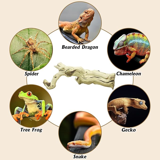 VCEPJH Large Snake Climbing Branch Decor 15.5 in Natural Reptile Wood Cork Log Bearded Dragon Tank Accessories Tree Trunk for Chameleon Gecko Ball Python Frog