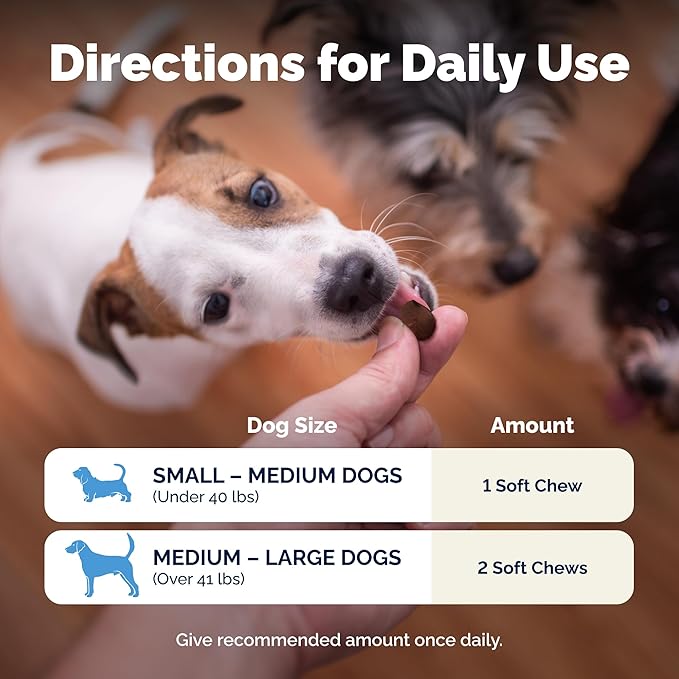 Vetnique Glandex Daily Probiotics for Dogs with Prebiotics to Support Gut Health, Diarrhea with Fiber and Digestive Enzymes, Probiotic Chews or Powders (30ct Chews, Probiotic Bacon Chews)