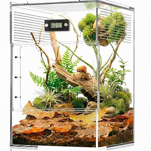 2 Pcs Magnetic Jumping Spider Enclosure Thermometer and Humidity Gauge Temperature and Humidity Monitor for Jumping Spider and Reptile Tank Mini Digital Hygrometer with LCD Screen(Rectangular)