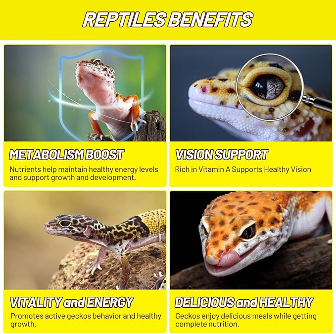 Crested Gecko Food, Silkworm Paste Reptile Food Made with Fresh Insects Gecko Food Complete Diet 2.82oz
