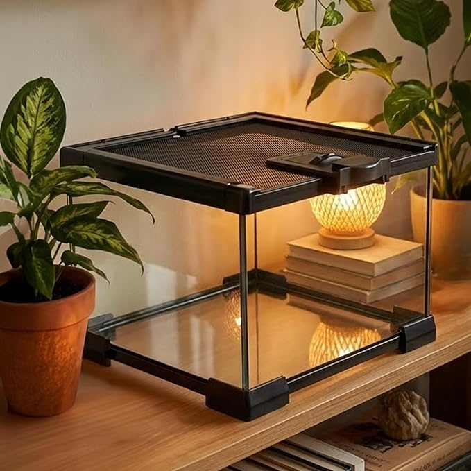 Small Glass Reptile Enclosure,8x8x6 Tarantula Enclosure with Lockable Sliding Screen Top - Full View Insects Breeding Box Small Amphibians Cage for Leopard Gecko, Frog, Hermit Crab, Isopods