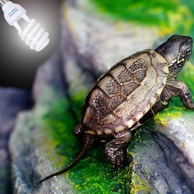 Reptile Uvb Bulb 5.0 Uvb E27 Interface Subtropical Reptile Light Blue White Lighting Reptile Light Fixture For Turtle, 26w
