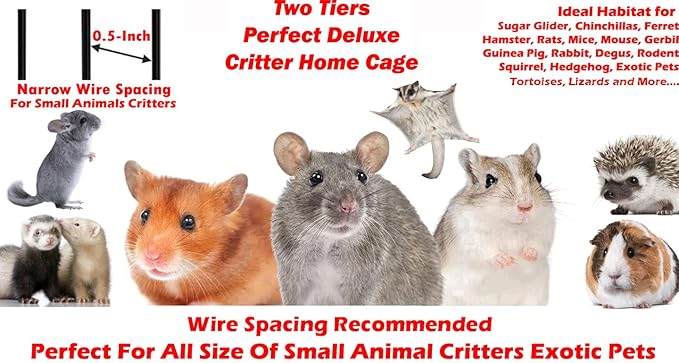 Two Tiers Deluxe Small Animal Critter Home Cage Tight 1/2-Inch Bar Spacing for Feisty Ferret Play Hammock Chinchilla Rat Mice Squirrel Rabbit Sugar Glider with Rolling Stand