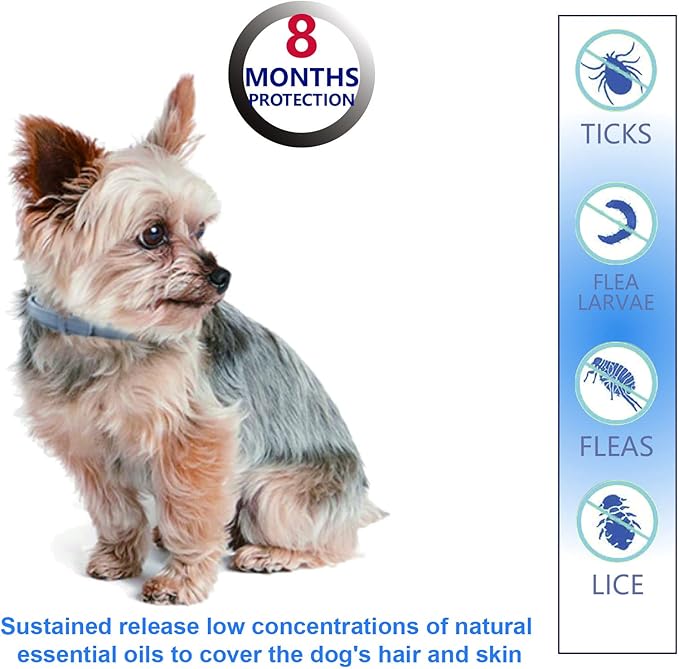 Flea and Tick Collar for Small Dogs, 2‑Pack | 8‑Month Waterproof Protection with Natural Essential Oils | Includes Comb