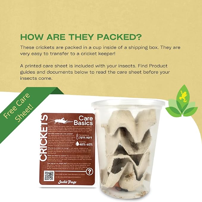 Josh's Frogs 3/4" Banded Crickets (60 Count)