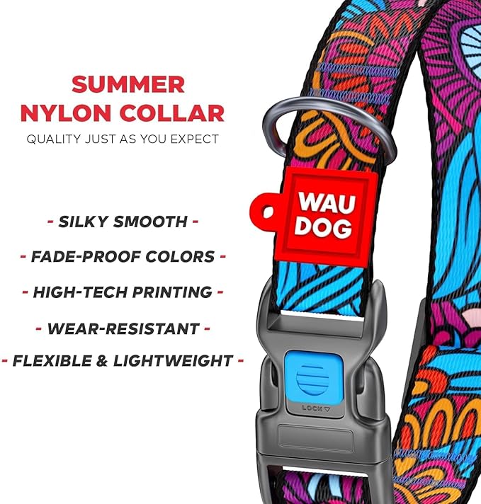Nylon Dog Collar and Leash Set - Adjustable Dog Collar for Large Dogs, Small & Medium Dogs - Puppy Collars for Large Breed - Boy & Girl Collars with Durable Plastic Buckle and QR Tag