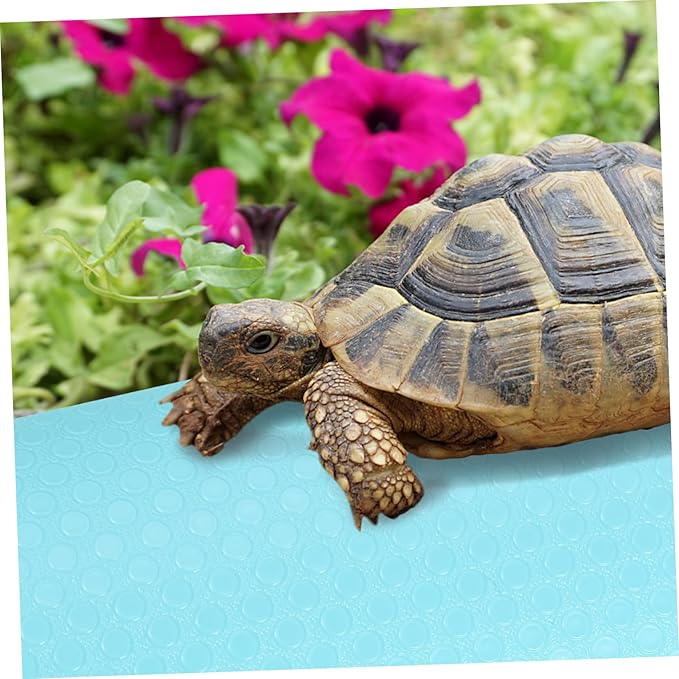 Reptile Terrarium Carpet Non- Substrate for Bearded Dragons Geckos Snakes and Tortoises Washable Lightweight and Portable Bedding for Reptile Tanks