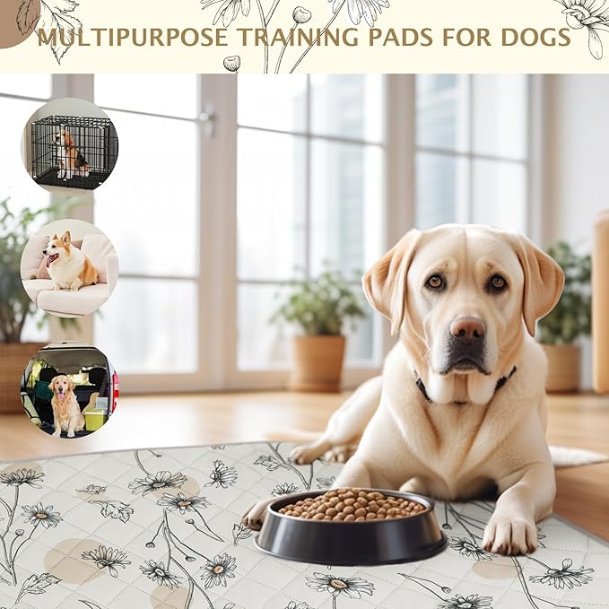 IEUUMLER Washable Pee Pads for Dogs, 2 Pack Non-Slip & Waterproof Pack Whelping Pad, Reusable Washable Puppy Potty Training Pad with Fast Absorbent for Playpen EU007 (Beige Daisy, 36"X24"-2pcs)