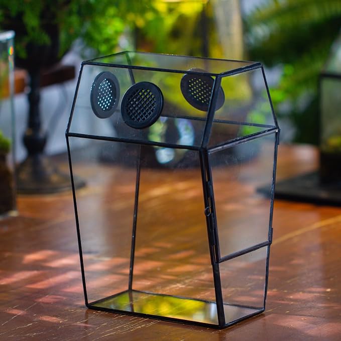 NCYP Gothic Glass Enclosure for Jumping Spider, Snails, Insects - Front Opening Door Geometric Terrarium with Vent Holes, Indoor Tabletop Coffin Shape Decor, Black (Terrarium Only)