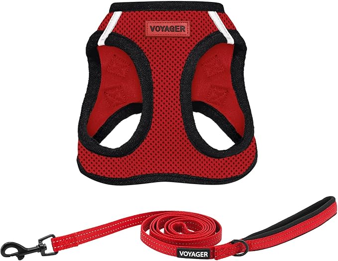 Best Pet Supplies Voyager Step-in Air All Weather Mesh Harness and Reflective Dog 5ft Leash Combo with Neoprene Handle, for Small, Medium and Large Breed Puppies - Set (Red/Black Trim), Small