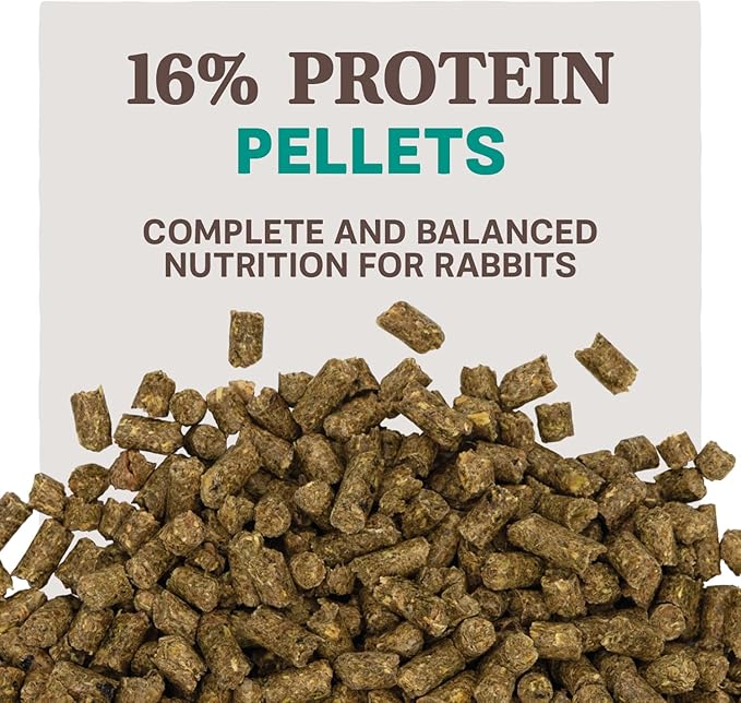 Blue Seal Home Fresh Pro Hutch 16 Pelleted Rabbit Food- 7 lb. Bag | Alfalfa-Based Bunny Feed Meal Promoting a Healthy Digestive System and Proper Feed Intake