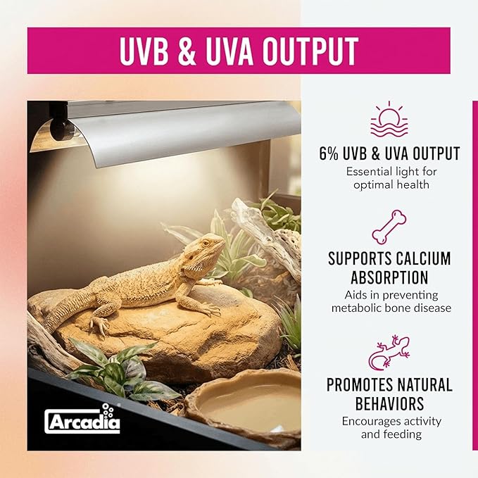 Arcadia T5 UVB Reptile Light Fixture Kit 36" Long 39 Watts 6% UVB Forest – Complete UVB Light for Reptiles, Turtles, Snake, Bearded Dragon Lamp, Long Lasting Easy to Use Professional Lighting