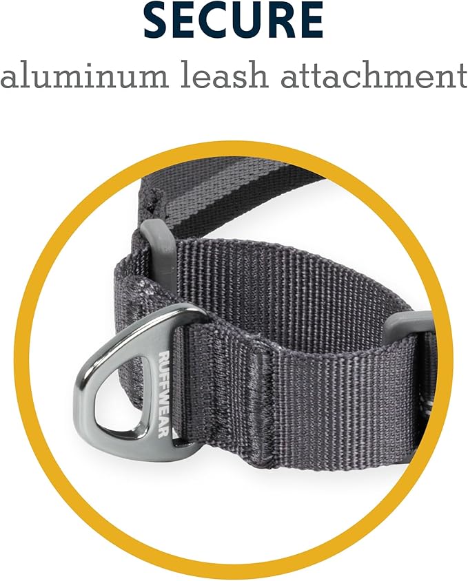 Ruffwear, Web Reaction Dog Collar, Escape-Proof Security Buckle, Adjustable Anti-Slip Martingale Collar with Durable Nylon Tubelok Webbing & Silent ID Attachment, River Rock Green, 17"-20"