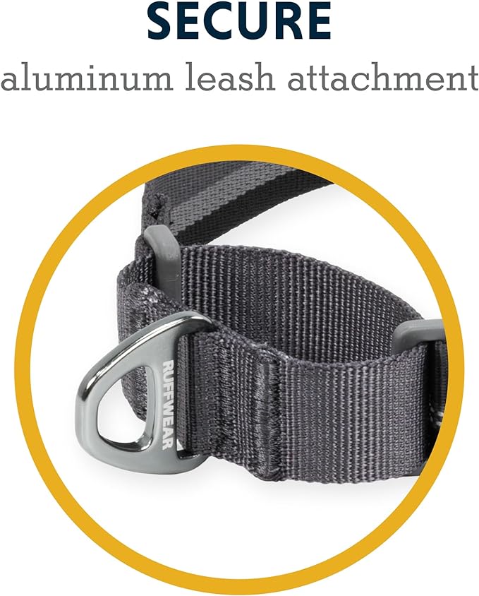 Ruffwear, Web Reaction Dog Collar, Escape-Proof Security Buckle, Adjustable Anti-Slip Martingale Collar with Durable Nylon Tubelok Webbing & Silent ID Attachment, River Rock Green, 14"-17"