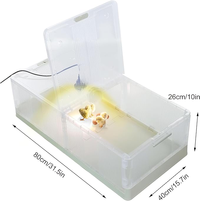 Large Transparent Chicken Brooder Box Chick Incubator Tortoise Habitat,30-50 Indoor Chicken Coop Chicken Tractor Quail cage,31.5inch Chick Brooder Kit