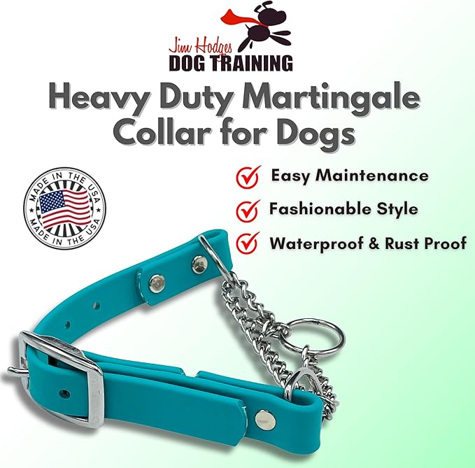 Martingale Collar for Dogs, Biothane, Stainless Steel Hardware, No Pull, Made in The USA, Professional Grade, Medium, Teal