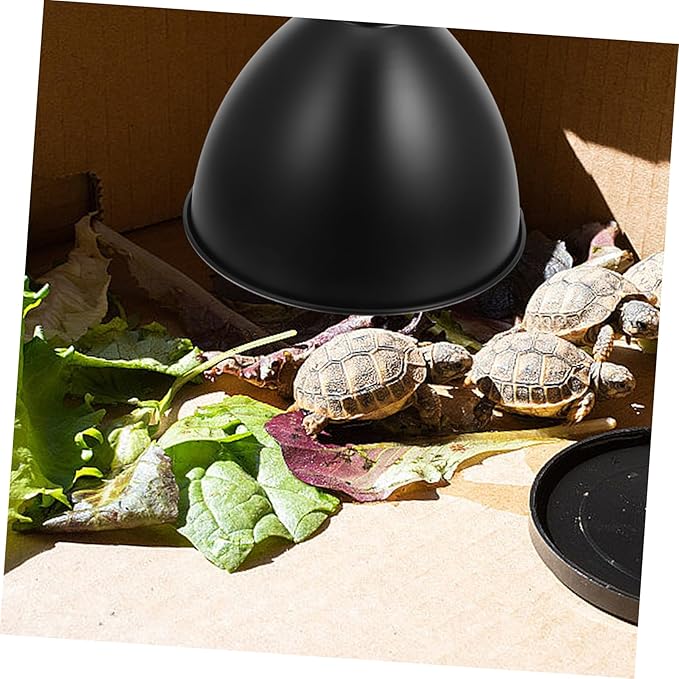 Heat Lamp Shade for Reptile Box Insulated Cover for Terrarium Supplies