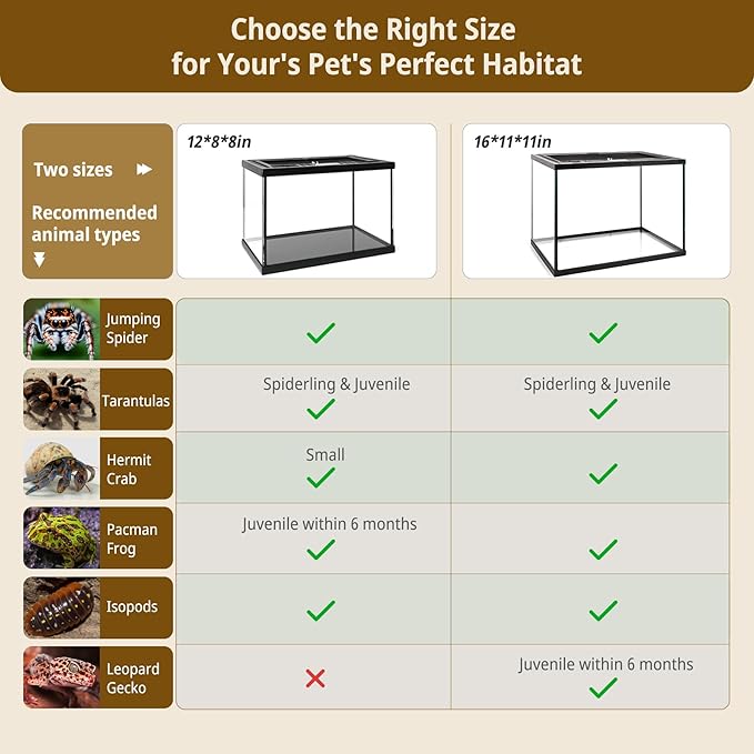 5-in-1 Glass Reptile Tank Starter Kit 8.3 Gal 16x11x11in Full View Reptile Enclosure with Thermo-Hygrometer & Hide for Juvenile Leopard Gecko, Tarantula, Lizards, Spiders, Hermit Crabs & Frogs