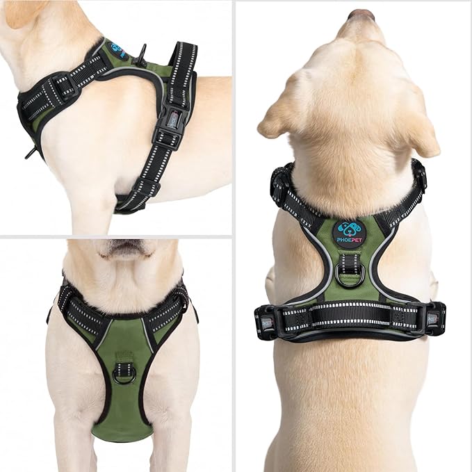 PHOEPET No Pull Dog Harness with Handle Reflective Padded Vest for Small Medium Large Dogs, Adjustable Puppy Harnesses with Front & Back Clip Easy Walking (XL, Misty Green)