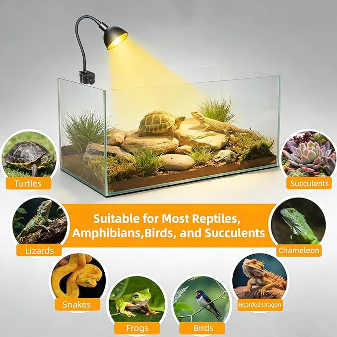 COOSPIDER 50W Reptile Heat Lamp with Clamp & Timer, Small Turtle Basking Light Fixture 360° Rotatable Hose with 2 Spare G9 Base Bulbs for Plants Small Reptiles Bearded Dragon Lizard Snake