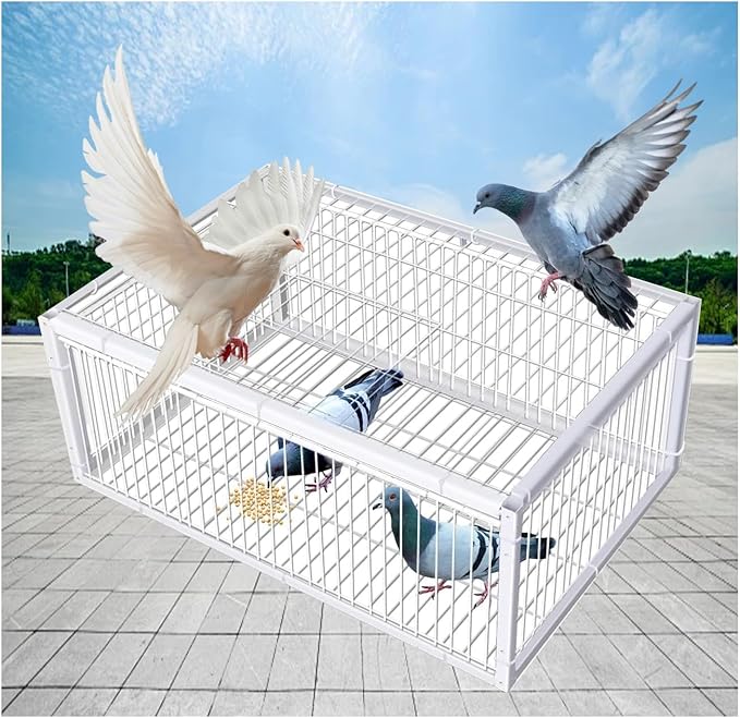 Carrier Pigeon Cage Pigeon Bird Trap Cage One-Way Entrance Trapping U-Trap Door for Quail Doves(White,100 * 60cm)