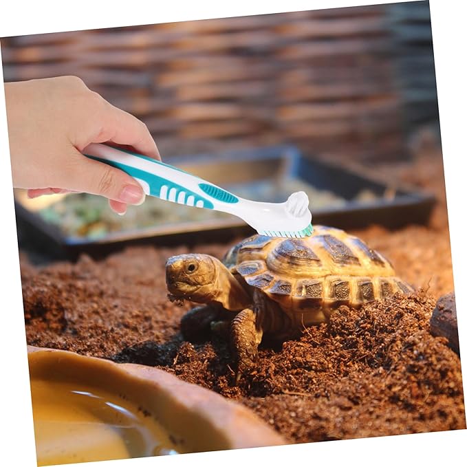 2pcs Turtle Shell Brush Double Sided Cleaning Tool for Aquatic Turtles Tortoises Non Slip Handle for Easy Use Keep Shells Clean Healthy