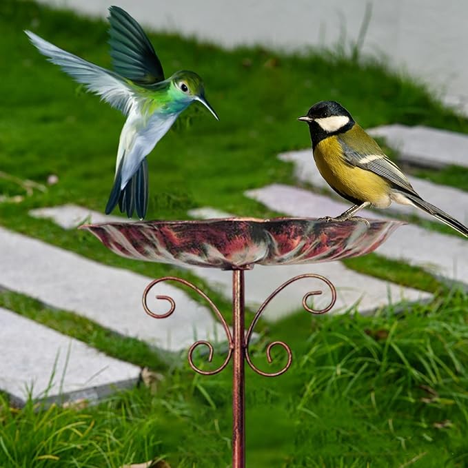 Bird Bath Feeder Bowl Birdfeeder Sturdy Iron Heavy Duty Detachable Easy to
