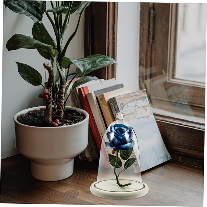 Garneck 1set Preserved Flower Glass Dome Base Decorative Flower Display Cover for DIY Micro Landscape Ornament for Home and Parties