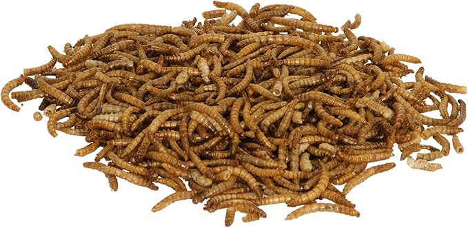 Zilla 2 Pack of Reptile Munchies Mealworms, 3.75 Ounes each, for Bearded Dragons, Leopard Geckos, Chameleons, Large Tropical Fish, and Birds