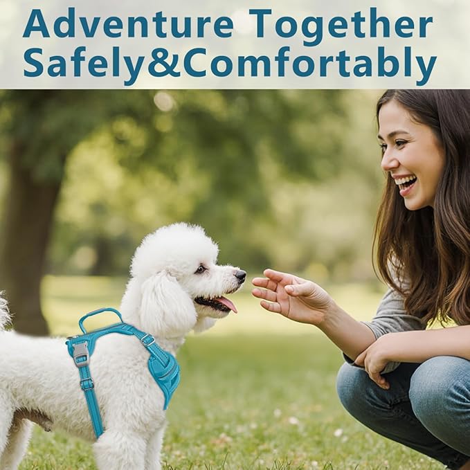 BARKBAY Dog Harness No Pull Oxford with ID Tag Pocket - Heavy Duty, Reflective, Easy Control for Large Dogs(Aqua Oxford,XS)