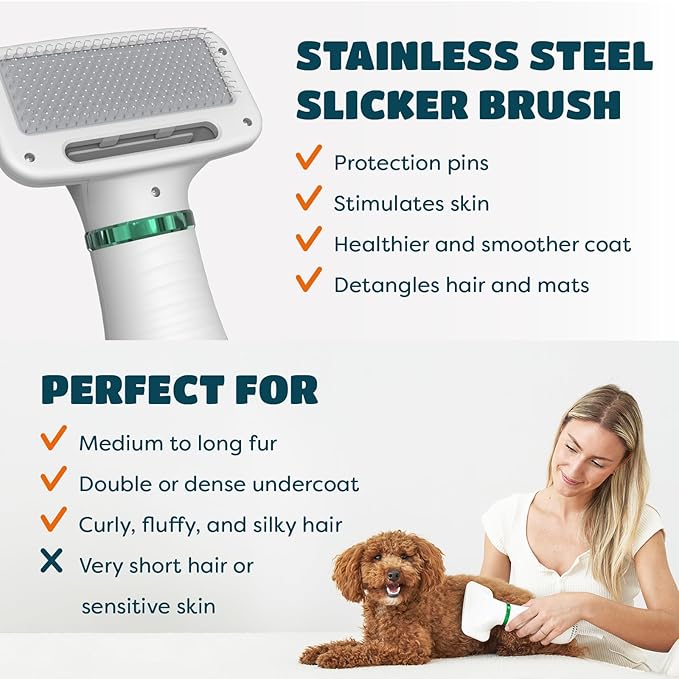 2-in-1 Dog Dryer with Slicker Brush for Small Dogs and Cats, Pet Hair Dryer, Dog Blow Dryer for Grooming with 300 Watts, 75-85 dB, Adjustable Temperature, Overheat Protection