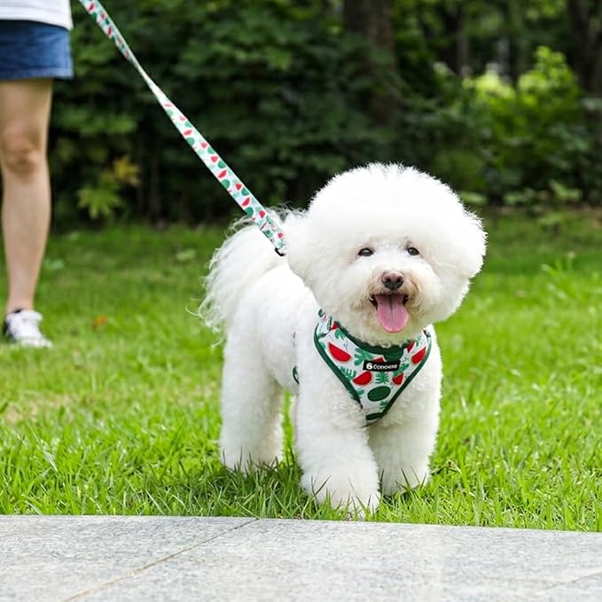 Dog Harness and Leash Set, Adjustable Dog Harness, Dog Leash, No Pull No Choke Puppy Harnesses for Walking Training for Small Medium Pet (Green Watermelon, M(Chest 15.7-22.1", Neck 12-15"))