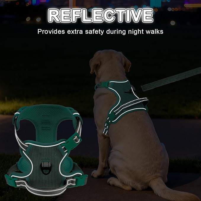BEAUTYZOO No Pull Dog Harness, Adjustable Dog Harness and Leash Set -Easy Wearing with 3 Buckles/Control Handle,No Choke Soft Padded Reflective Pet Vest for Training Walking Hiking,Solid Aqua Blue M