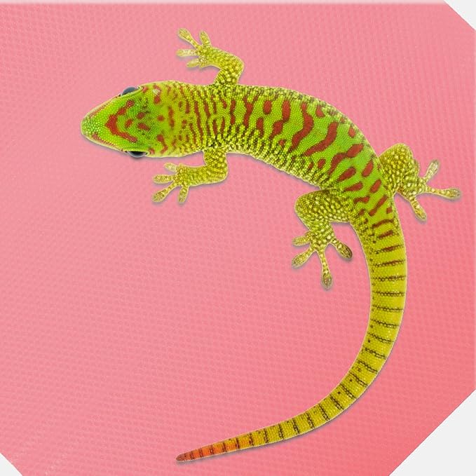 Reptile Carpet EVA Soft Terrarium Liner for Bearded Dragon Leopard Gecko Snake Tortoise Bedding Mat Non-Adhesive Substrate for Lizard Tank
