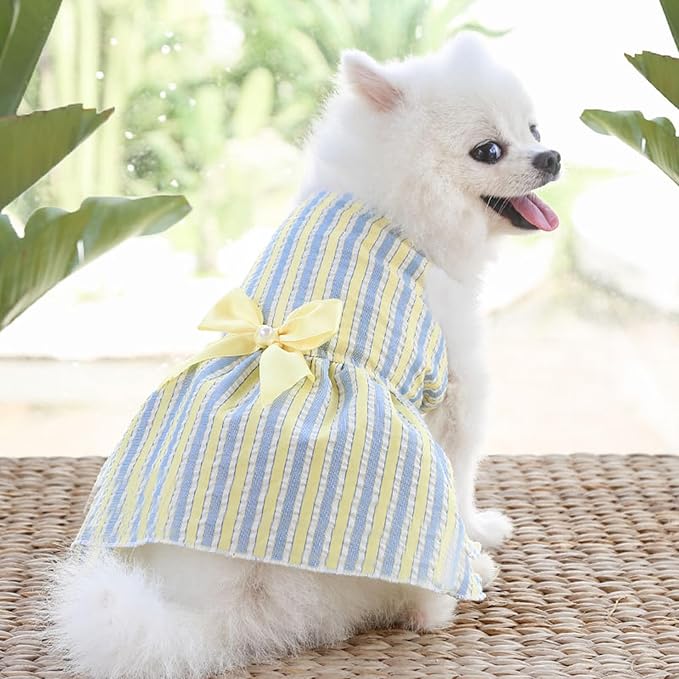 TAPBULL Dog Dresses, Fashionable Pet Dog Clothes, Cute Cat Birthday Dress Outfit (Blue/Red/Pink/Pink-Blue/Yellow-Blue 5-Pack), Medium