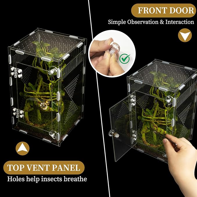 Acrylic Jumping Spider Habitat, Reptile Terrarium Easy Assembly, Bug Enclosure, Praying Mantis Habitat, Frog Enclosure, 9.8 * 5.9 * 5.9in