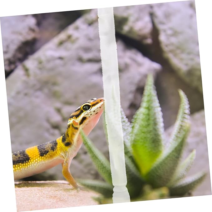 1Set Reptile Humidifier Extension with Cup Flexible Hose for Reptile and Amphibian Habitat Easy Installation Compatible with Containers Essential