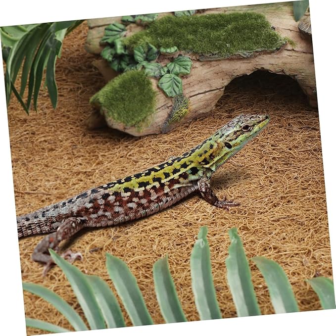 Abaodam Natural Coconut Fiber Reptile Carpet Mat Safe Comfortable Lizard Tank Accessory for Tortoise Snake Leopard Gecko Terrariums Bedding Liner for Reptile Habitat
