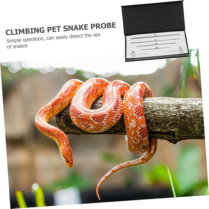 SUPVOX 6pcs Reptile Supplies Snake Snake Probe Gender Probe Ergonomic Handle Toy