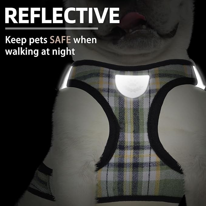 PUPTECK Adjustable Dog Harness Collar and Leash Set Step in No Pull Pet Harness for Small Medium Dogs Puppy and Cats Outdoor Walking Running, Soft Mesh Padded Reflective Vest Harnesses, Grn&YLW, XS